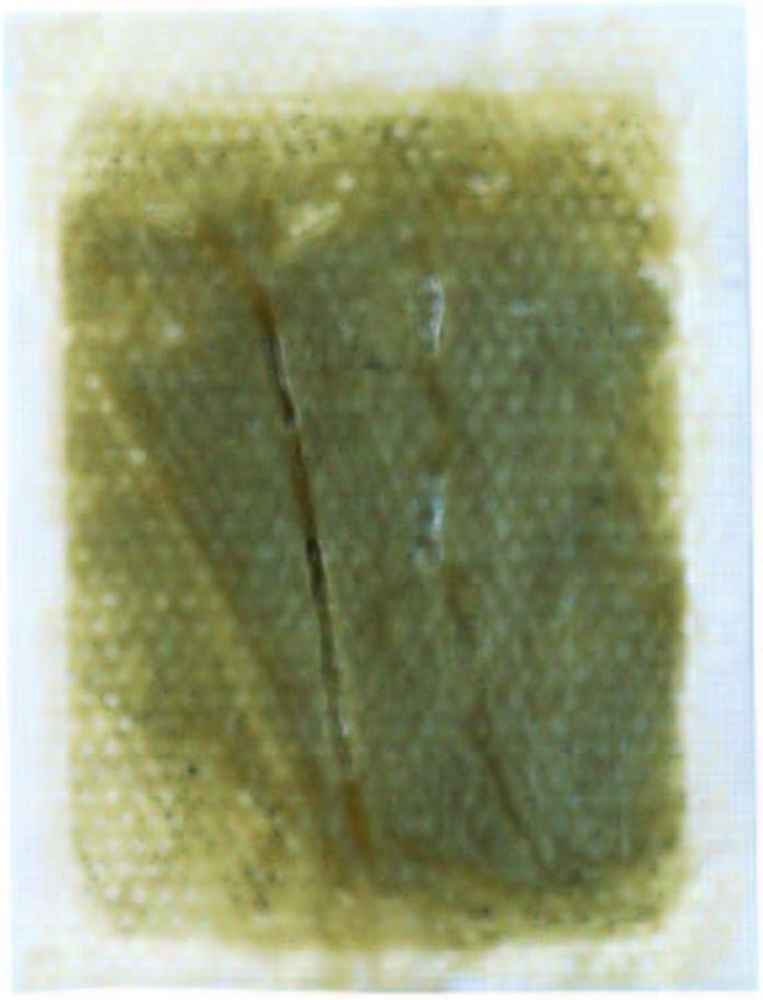 足リラシート よもぎ 30枚 画像3