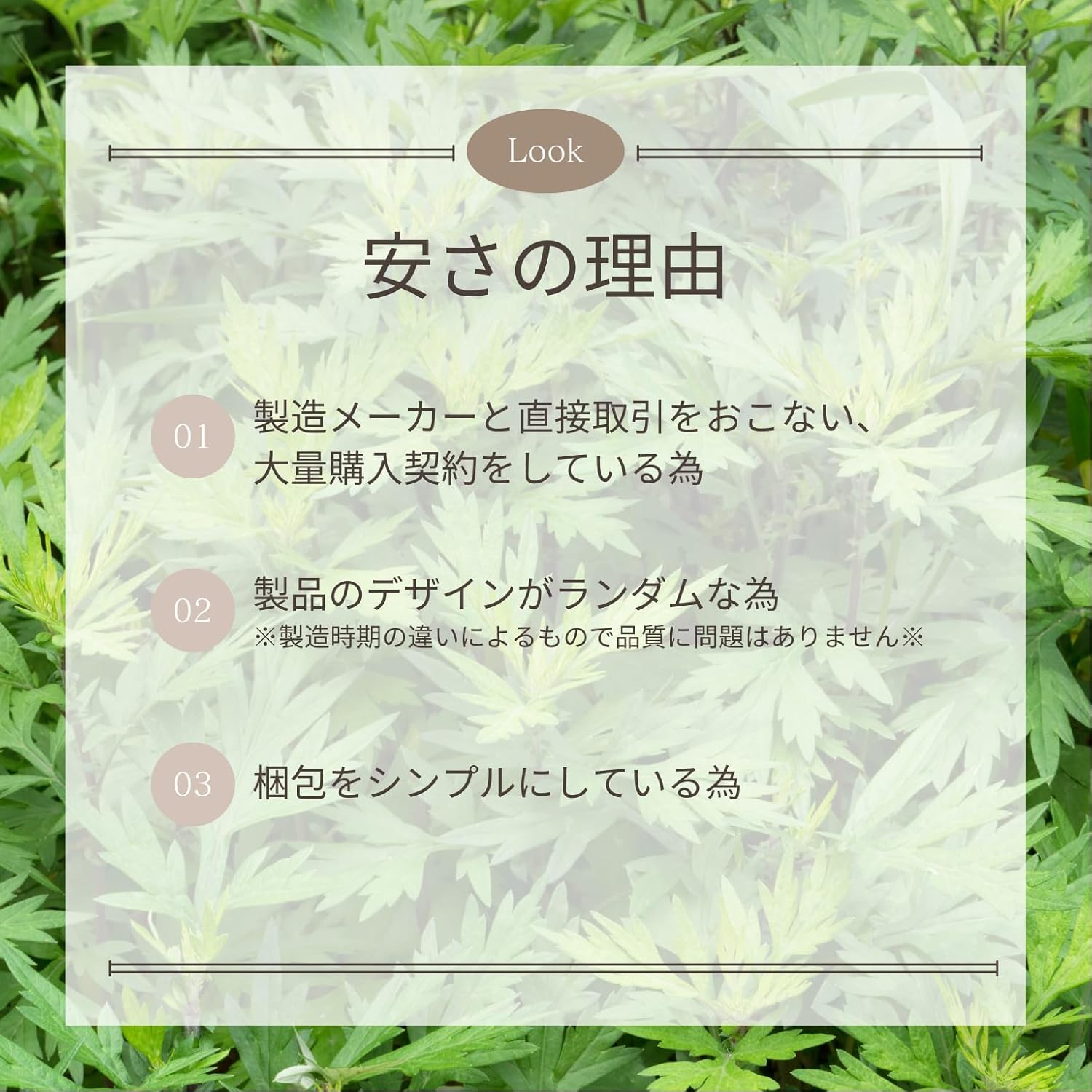 足裏シート ヨモギ 樹液シート 足裏シップ 樹液シップ 貼ると次の日茶色になる フットシート 50枚(25回分) [デコラティブ] 画像6