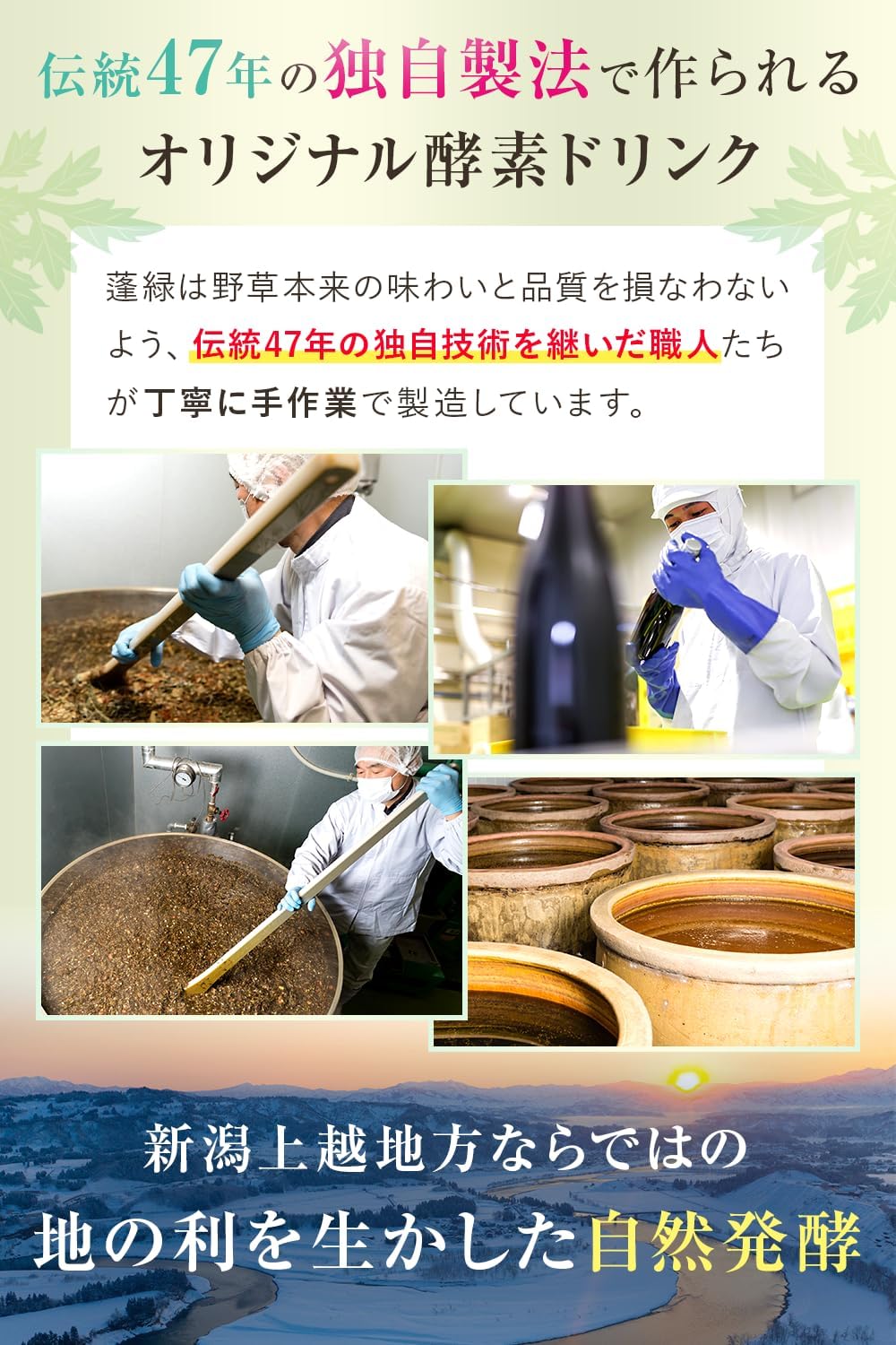 越後酵素蓬緑 酵素ドリンク 720ml×1本 ファスティング 置き換え 酵素 おきかえドリンク 画像5