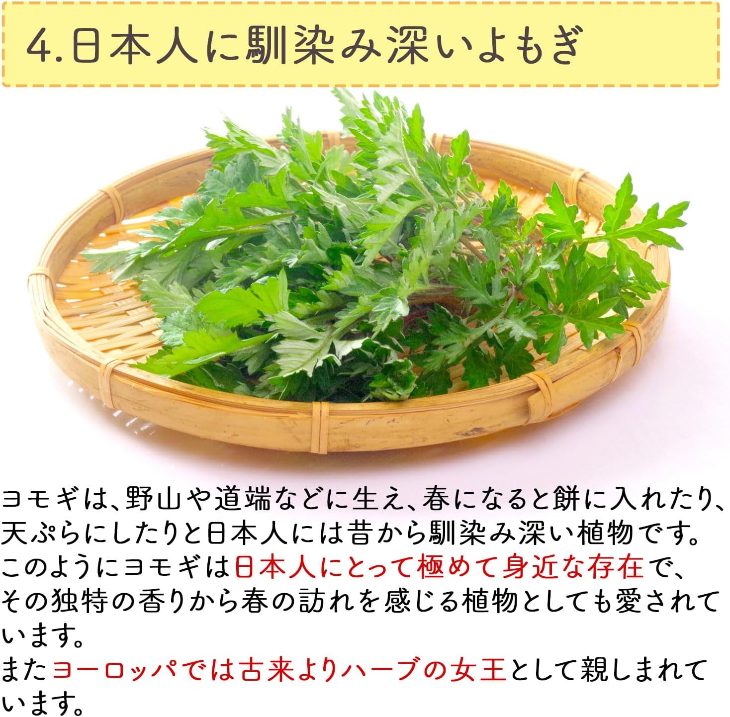 Honjien tea よもぎ茶 国産 ティーバッグ 大容量 健康茶 3g×50包 ヨモギ茶 蓬茶 ノンカフェイン 画像7