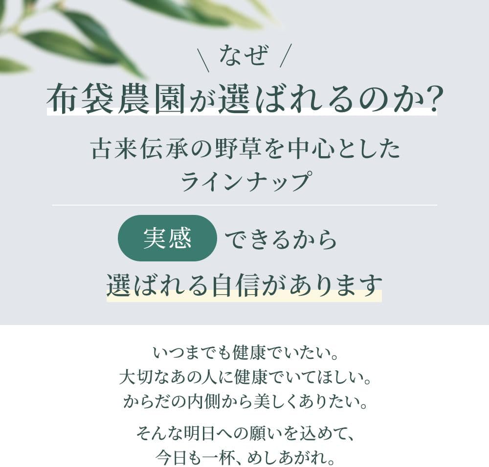 布袋農園 天然よもぎの贅沢石鹸 洗顔 無添加（香料・防腐剤・保存料） 保湿 敏感肌 乾燥肌 全身 コールドプロセス製法 手作り 画像7