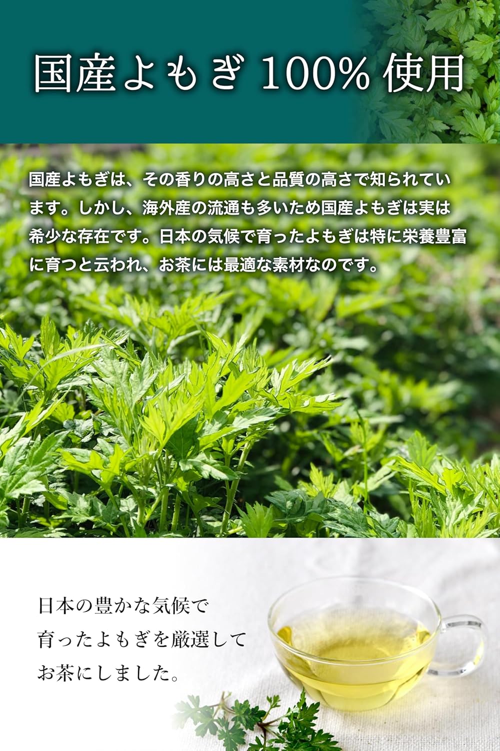 国産100％ よもぎ茶 30包 ティーバッグ 混じりけ無しの厳選素材使用 茎除去率90% 無添加 ノンカフェイン 茶癒 ホットでもアイスでも美味しい 大容量 温活 健康茶 (1袋, よもぎ茶) 画像2