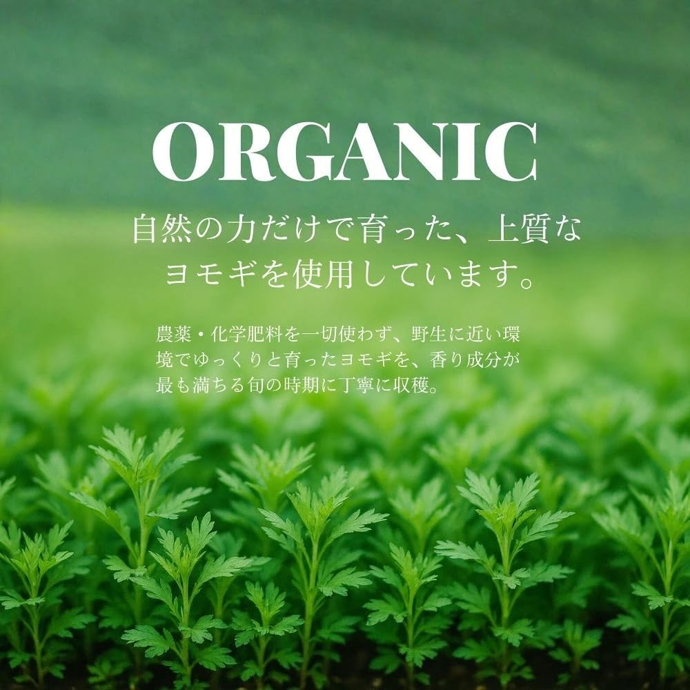 ヨモギオイル 精油 エッセンシャルオイル Lotus Mind ロータスマインド 薬草 よもぎ蒸し 野草 (2ml) 画像3