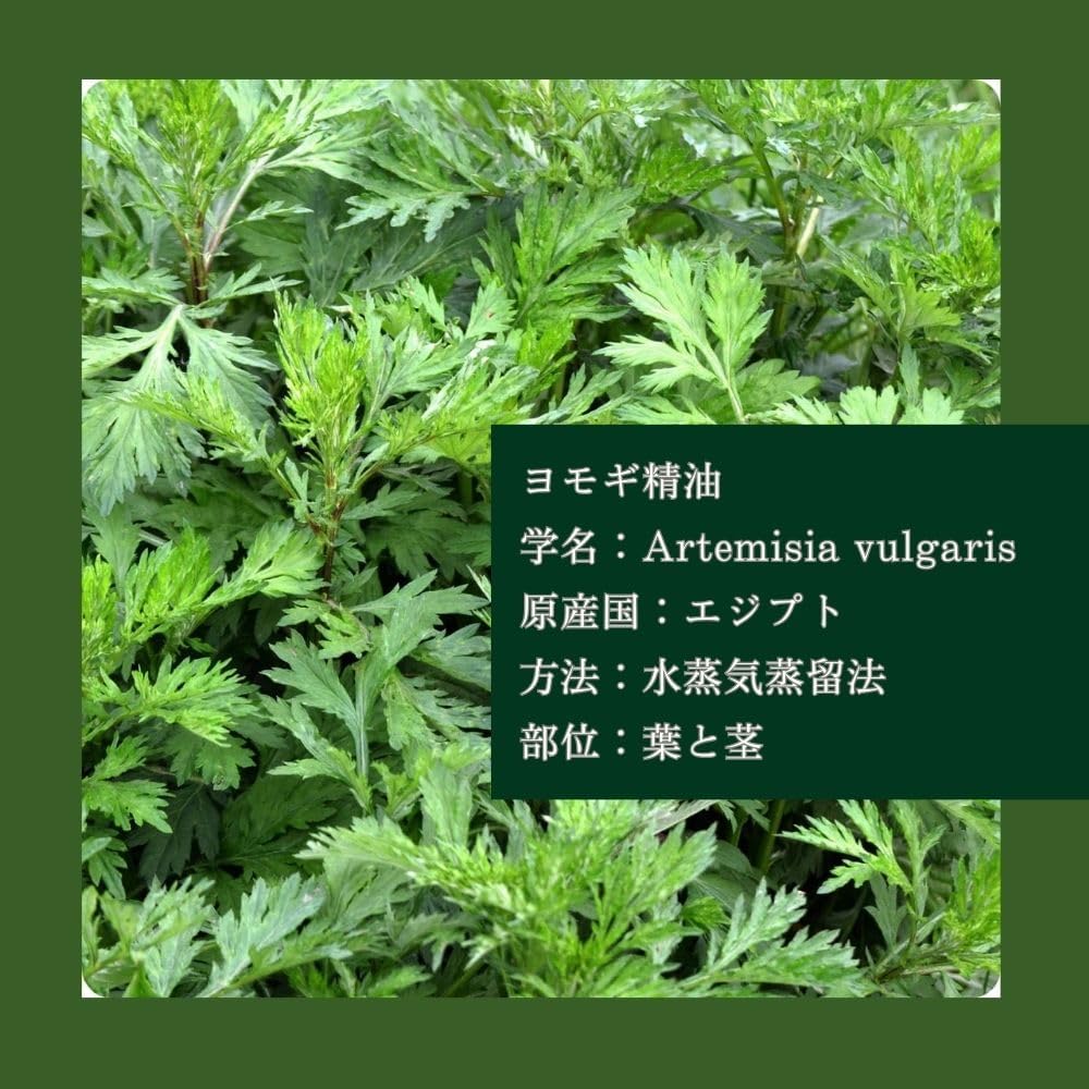 ヨモギオイル 精油 エッセンシャルオイル Lotus Mind ロータスマインド 薬草 よもぎ蒸し 野草 (2ml) 画像5