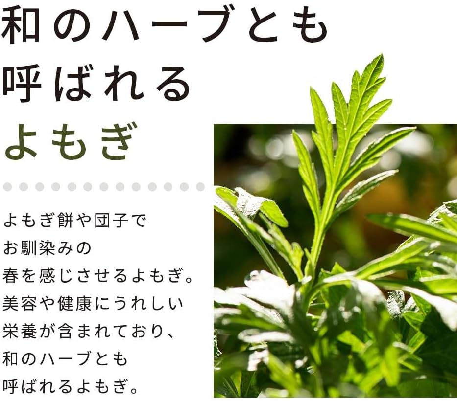 ogaland よもぎ茶 100包 ヨモギ茶 国産 無添加 茶 ティーバッグ 健康茶 ノンカフェイン 大容量 画像4