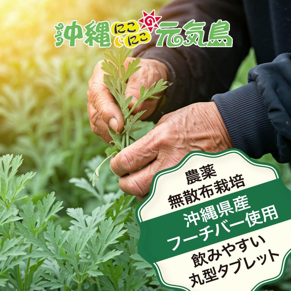 琉球ヨモギ粒 3袋 (60粒×3袋) よもぎ粒 沖縄県産 フーチバー 沖縄にこにこ元気島 ヨモギ サプリメント 画像3