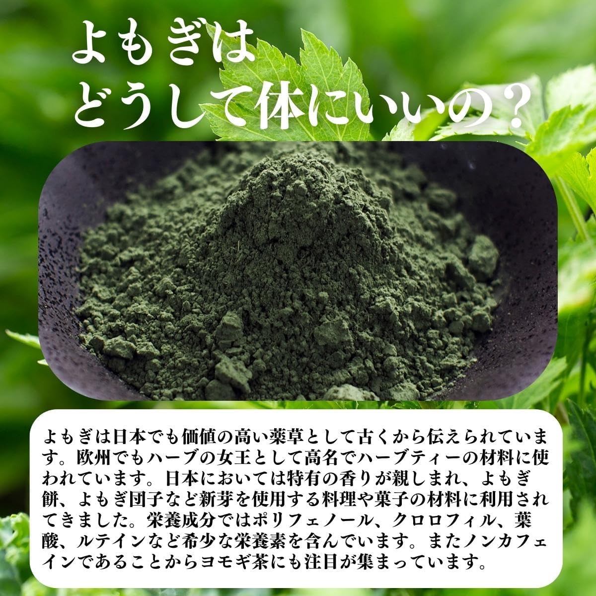 自然健康社 よもぎ新芽粉末 30本 国産 無農薬 無添加 よもぎ 粉 茶 蓬 サプリ 画像3