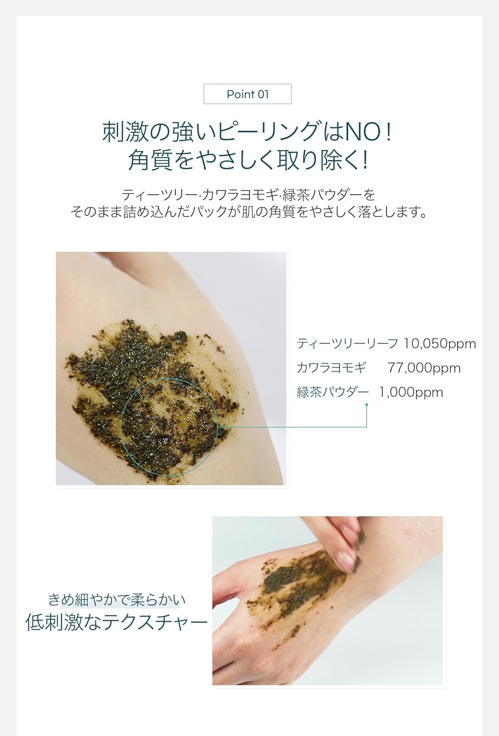 WellDerma【ウェルダーマ】ティーツリー&ヨモギハーブトックスピーリングパック150g【ブラシ付き】 画像2
