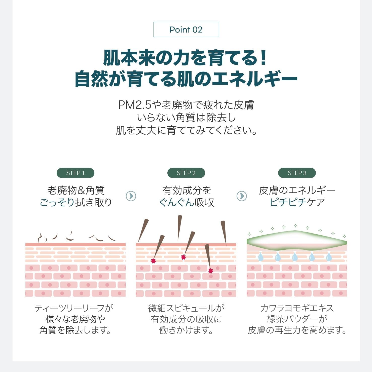 WellDerma【ウェルダーマ】ティーツリー&ヨモギハーブトックスピーリングパック150g【ブラシ付き】 画像3