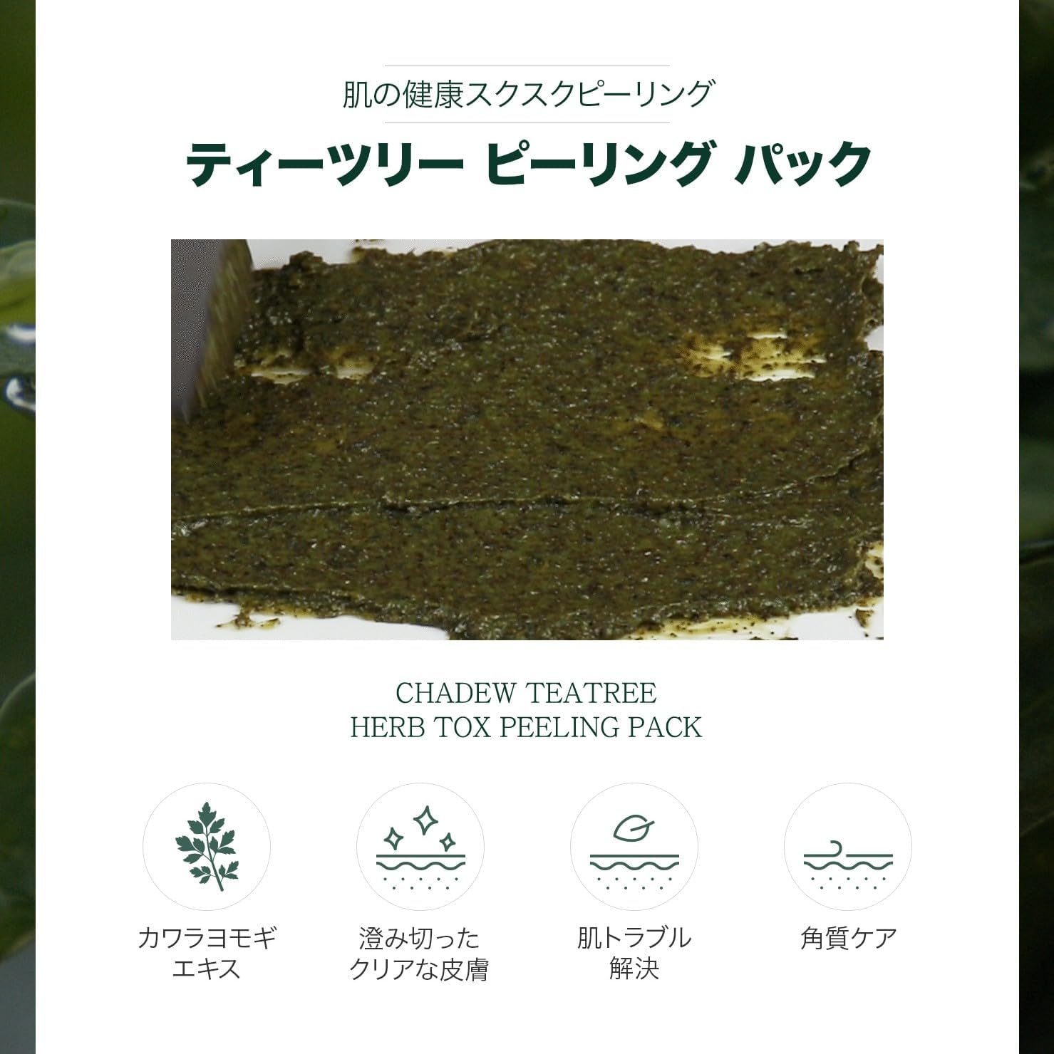 WellDerma【ウェルダーマ】ティーツリー&ヨモギハーブトックスピーリングパック150g【ブラシ付き】 画像5
