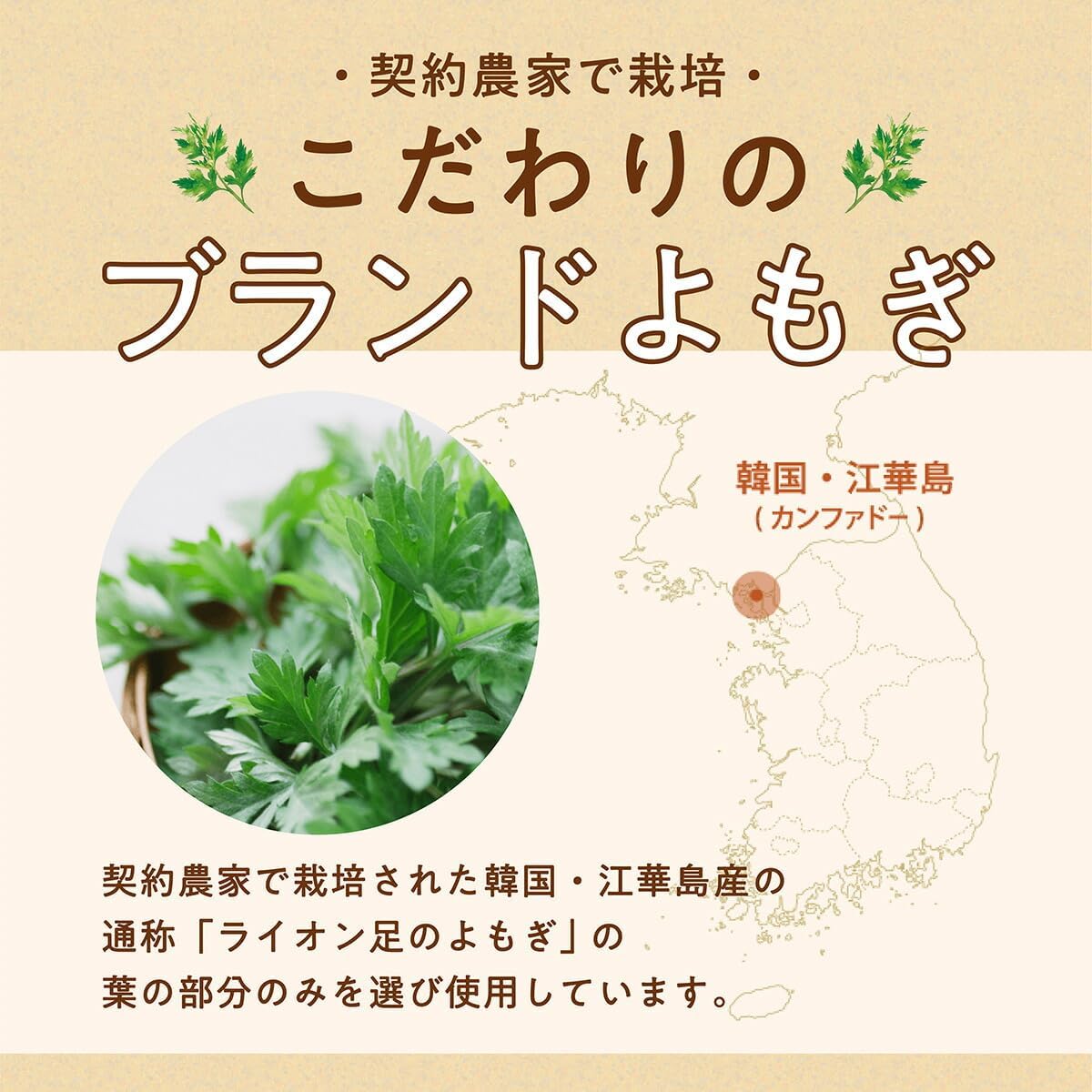 【ウィズフェム】【HEAT(しっかり温め）3回分】よもぎ温座パット オーガニック よもぎ蒸し よもぎパット 冷え 対策 ウィズフェム オーガニック グラフィコ 太もも よもぎ温座 おまたカイロ 温熱シート 温活 ヨモギ蒸し【ウィズフェム使い方BOOK付き】 画像5