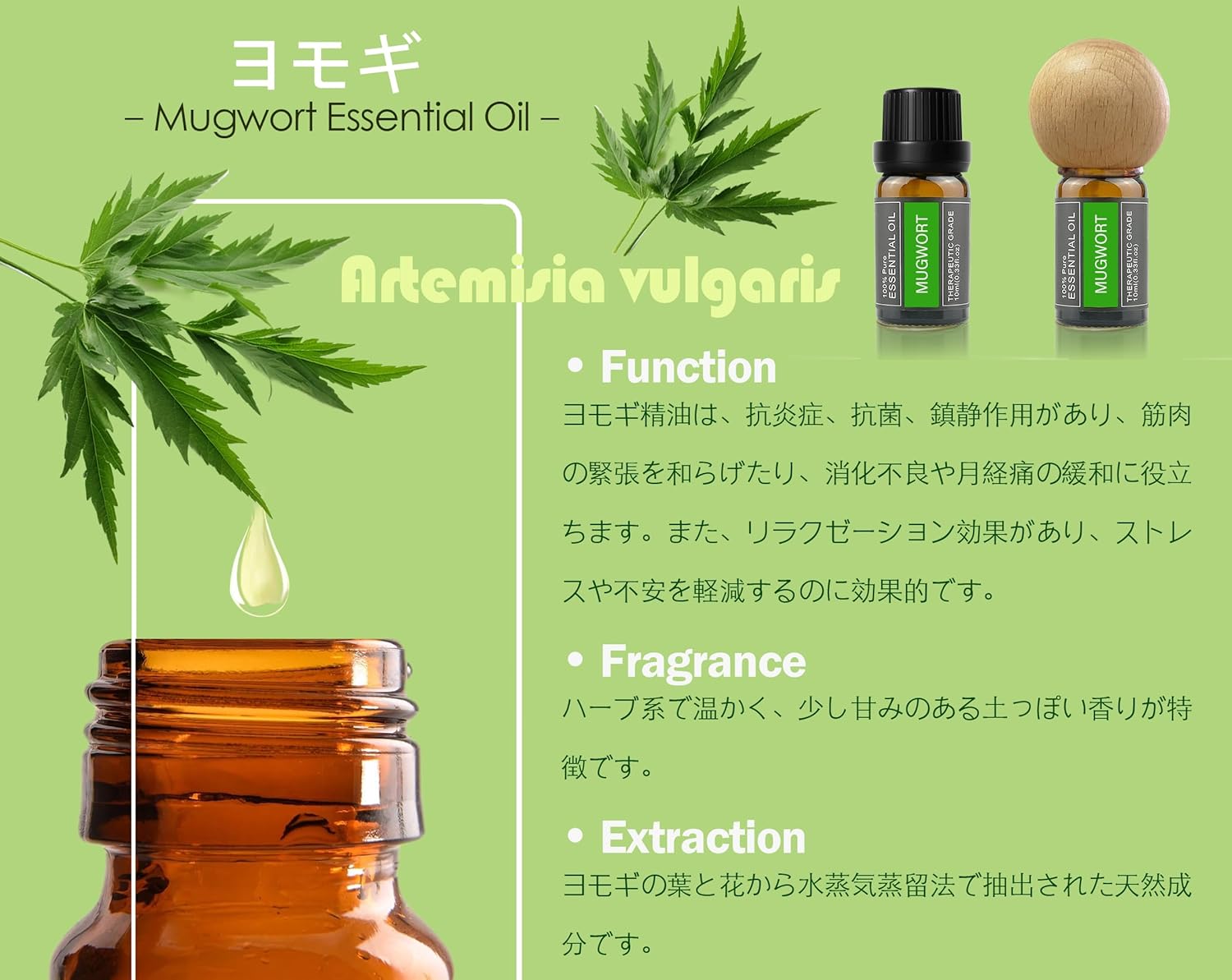 ヨモギ精油 アロマオイル 100％天然植物由来 ヨモギエッセンシャルオイル 10ml （ディフューザーセット） 画像2